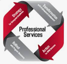 1730447405_pro-services-logo.png Image